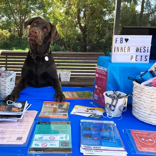 labrador at odea CAS info stand